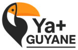 Yaplus Guyane