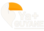Yaplus Guyane